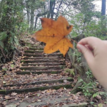 評論圖片 2