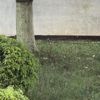 評論圖片 8