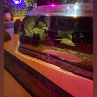 評論圖片 2