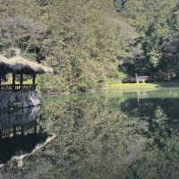評論圖片 2