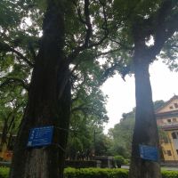 評論圖片 7
