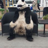 評論圖片 1