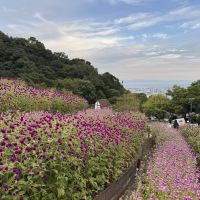 評論圖片 5