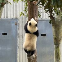 評論圖片 2