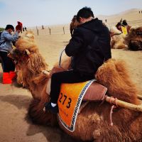 評論圖片 9