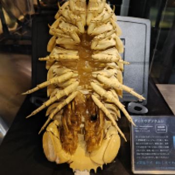 評論圖片 3