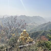 評論圖片 2