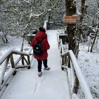評論圖片 6