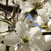 評論圖片 3