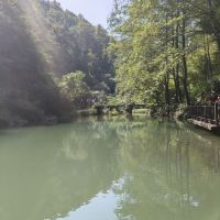 評論圖片 9