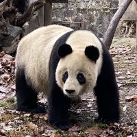 評論圖片 3