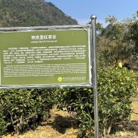評論圖片 1