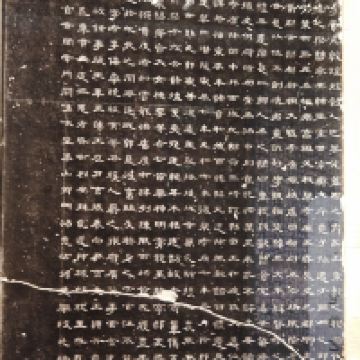 評論圖片 4