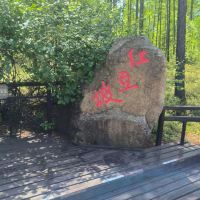 評論圖片 3