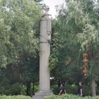 評論圖片 3