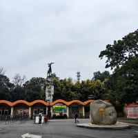 評論圖片 2