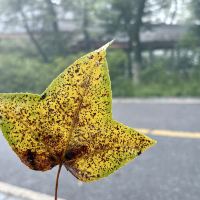 評論圖片 3