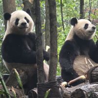 評論圖片 6