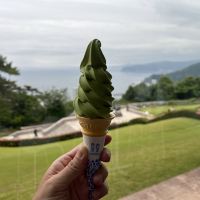 評論圖片 7