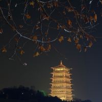 評論圖片 4
