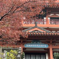 評論圖片 3
