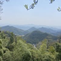 評論圖片 7