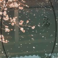 評論圖片 9