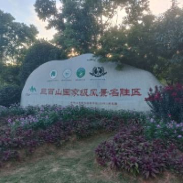 評論圖片 6