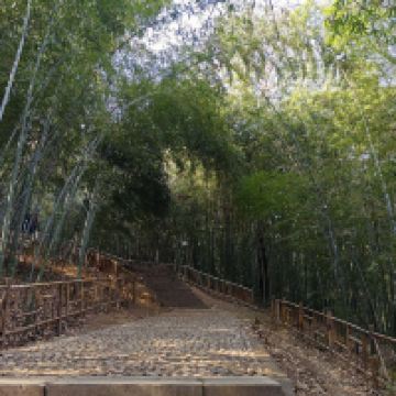 評論圖片 2