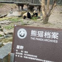 評論圖片 2