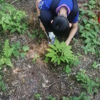 評論圖片 1
