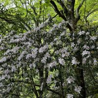 評論圖片 8