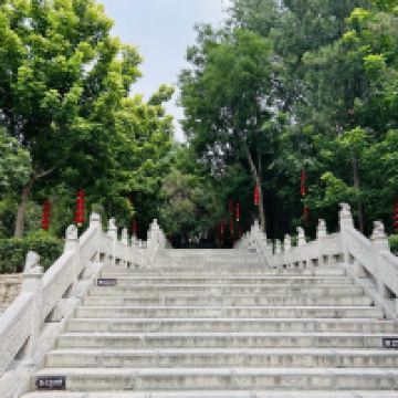 評論圖片 6