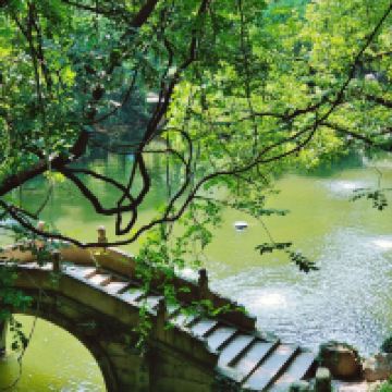 評論圖片 8