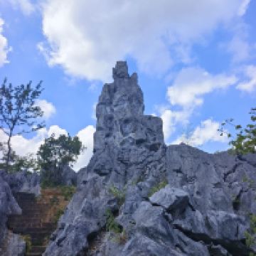 評論圖片 3