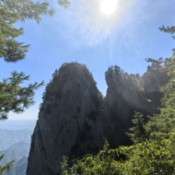 評論圖片 2