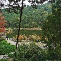 評論圖片 8