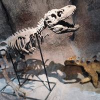 評論圖片 7