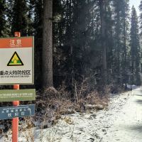 評論圖片 8