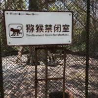 評論圖片 5