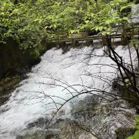 評論圖片 3