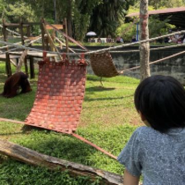 評論圖片 3