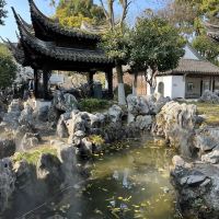 評論圖片 2