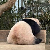 評論圖片 6