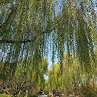 評論圖片 1