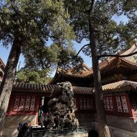 評論圖片 1