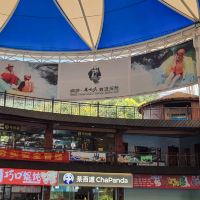 評論圖片 5