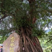 評論圖片 2