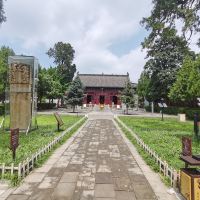 評論圖片 1