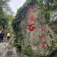 評論圖片 6